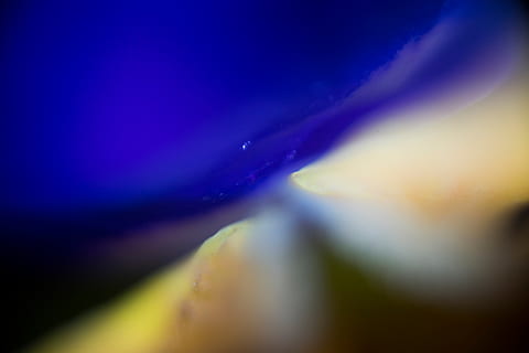 量子计算研究人员成功将数据传送到钻石内